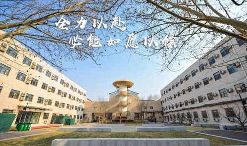北京金融科技学院 创意艺术学院