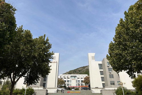 校园文化 山东艺术学院 定格校园秋色 不负美好时光