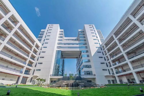 广西艺术学院2019年艺术类校考有关事项的通知