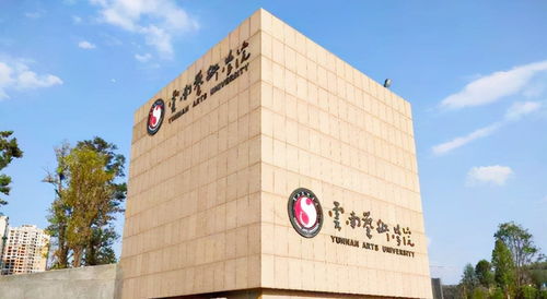 网友建议 南京艺术学院更名为中国艺术学院 ,但是有政策阻碍啊