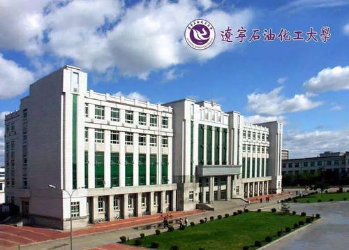 2019年辽宁石油化工大学化学工程与工艺专业中外合作办学项目介绍