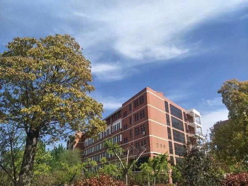 开封文化艺术职业学院广播站 艺术之声在校园绽放