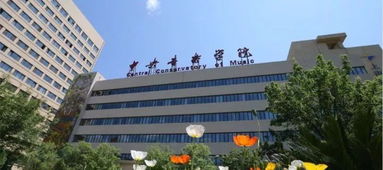 中国学费最贵的名校排行榜,艺校垄断前三名