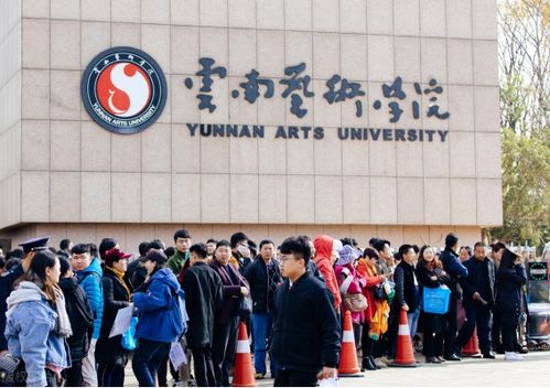 云南艺术学院2021年招生计划,录取专业及录取分数线是多少